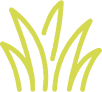 Grass icon