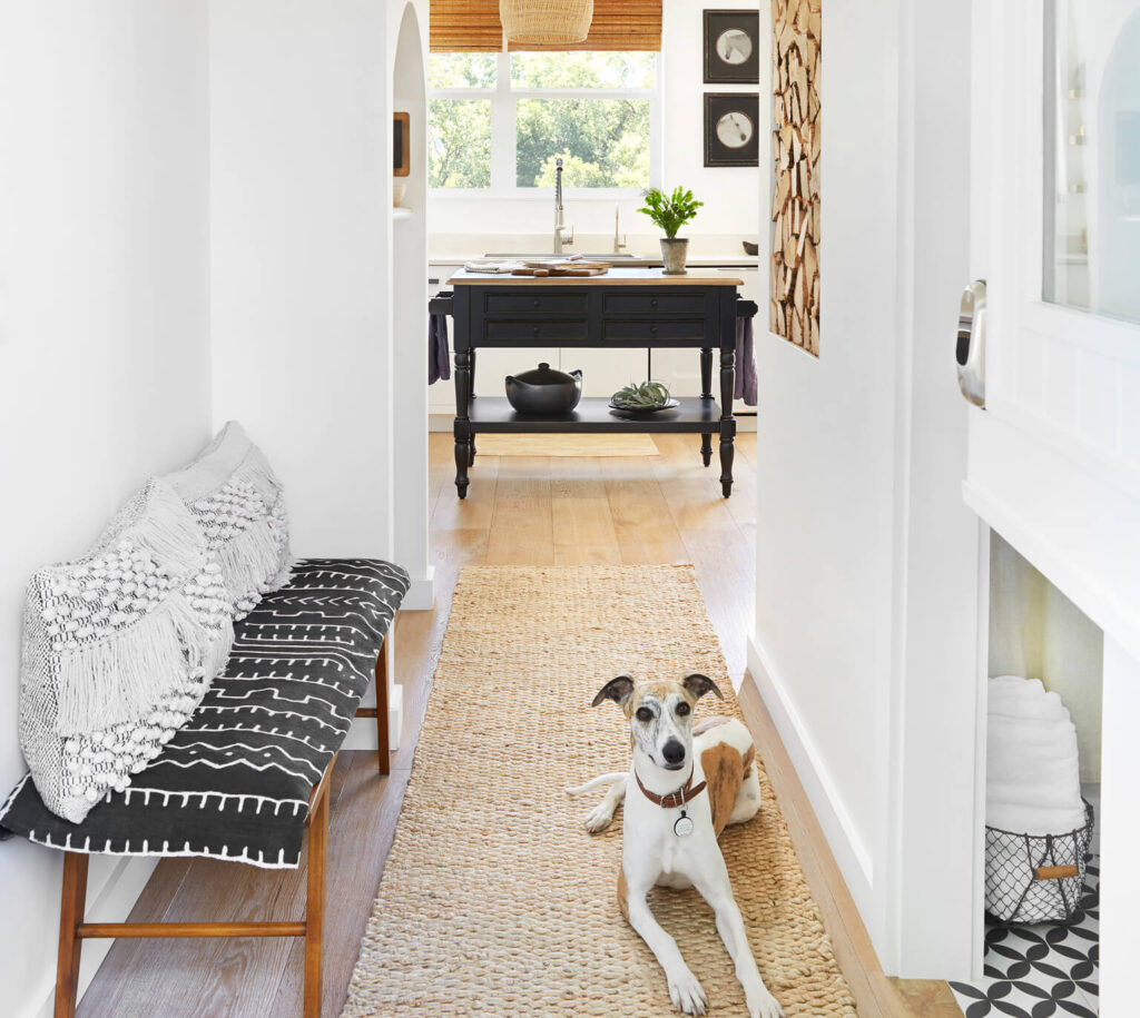 A dog in a hallway of a home